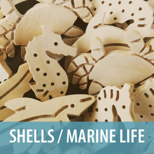 Shells / Marine Life